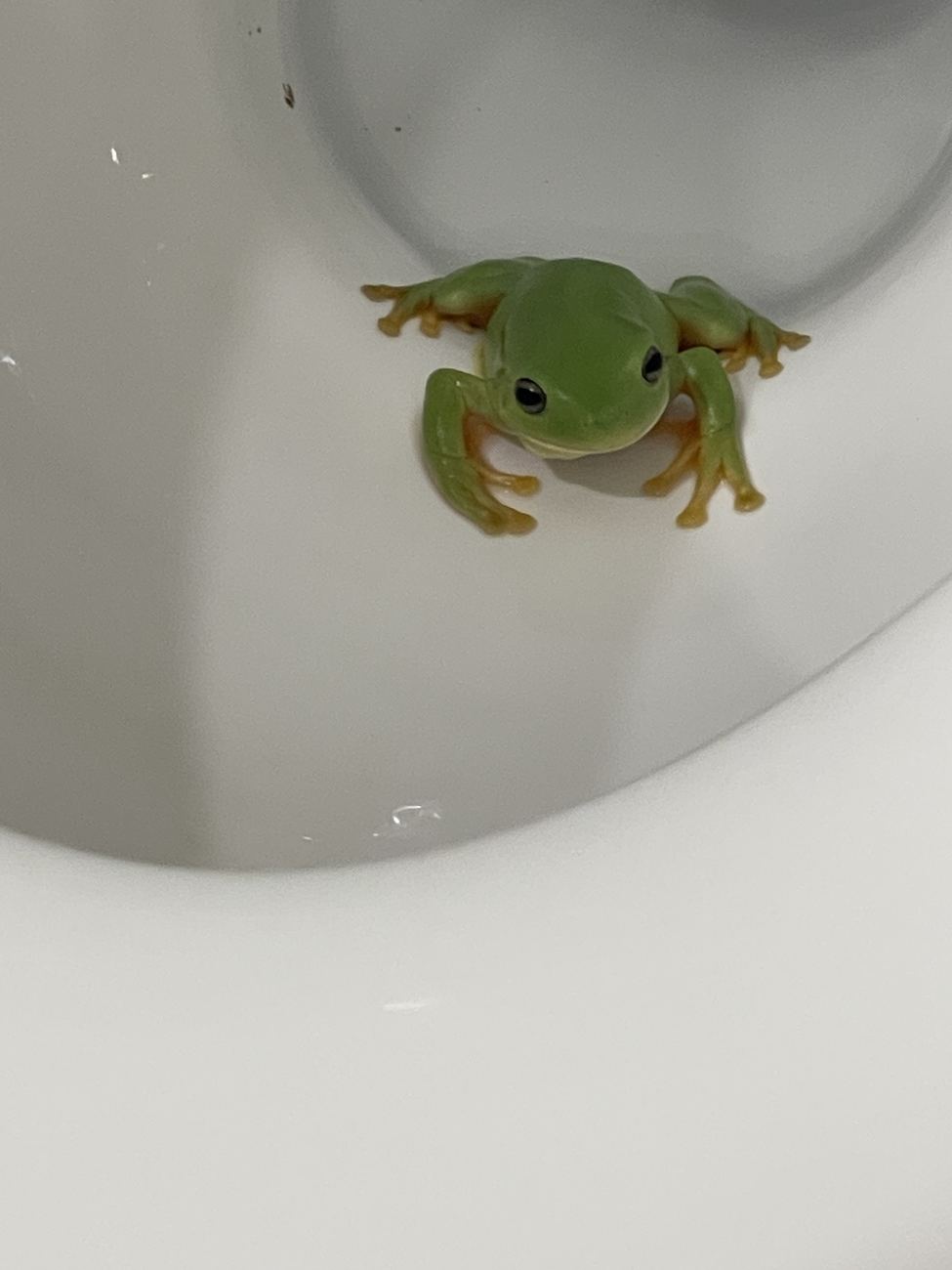 Hero photo for day 10